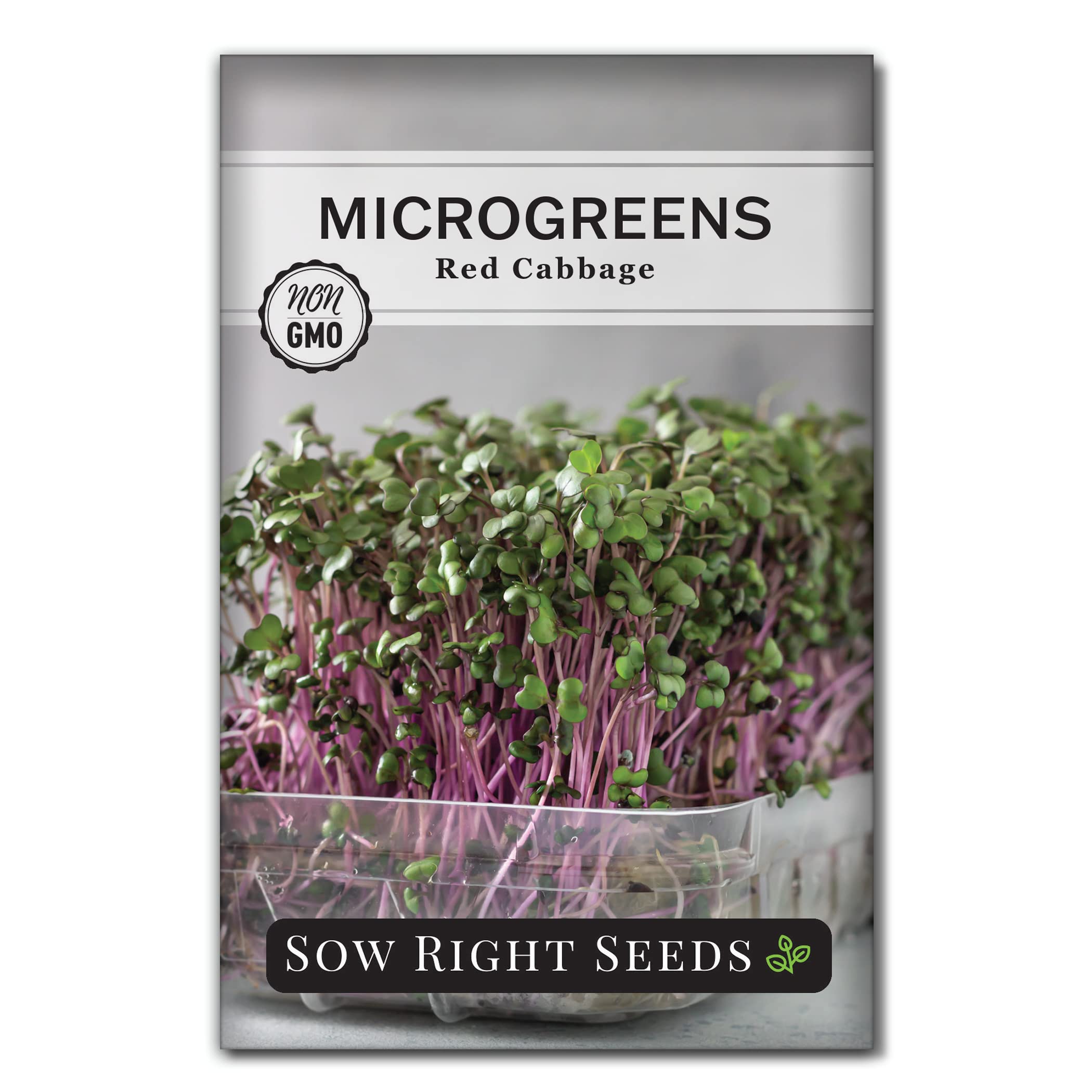 Sow Right Seeds - Red Cabbage Microgreen Seed for Growing - Instructions to Grow Your Own Delicious and Healthy Microgreens - Plant Indoors with no Special Equipment - Super Easy Superfood Sprouts