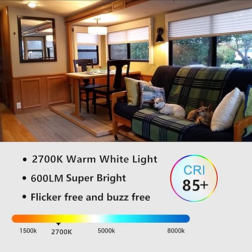 Miniatura 5 de Bombilla Edison de 12 V, equivalente a 60 vatios, base media E26, bombilla LED de 12 V, CACC 12 V-36 V 6 W, blanco cálido, 2700 K, bombilla vintage