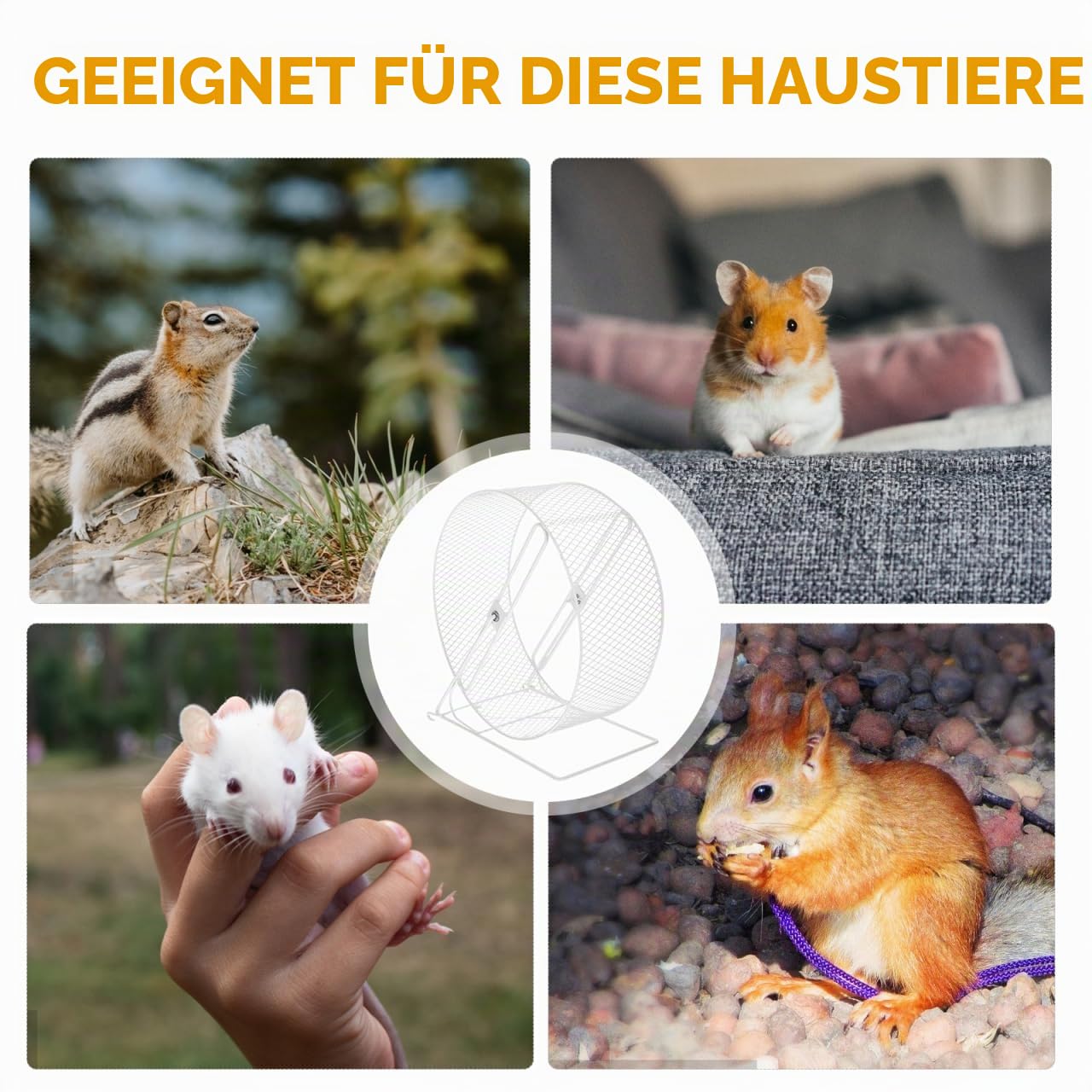 POPETPOP Metall-Hamsterrad 10,24 Zoll – Leise und Stabil für nächtliche Bewegung – für Hamster, Igeln, Rennmäuse und Kleine Nager