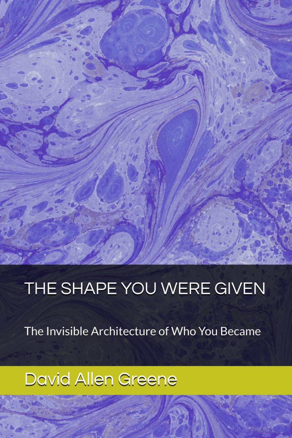 THE SHAPE YOU WERE GIVEN: The Invisible Architecture of Who You Became (The Mirror Series)
