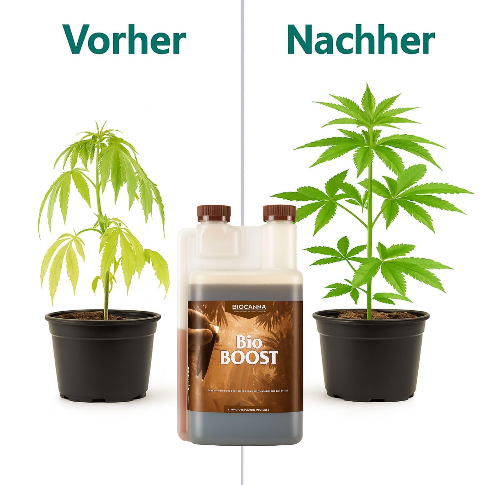 Weedness Canna Bio Boost 1 Liter Blütestimulator – Bio Dünger NPK Grow Blüte Booster Tomaten Gurken Flüssigdünger Organischer