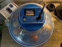 Review Image by Kevin Kevin