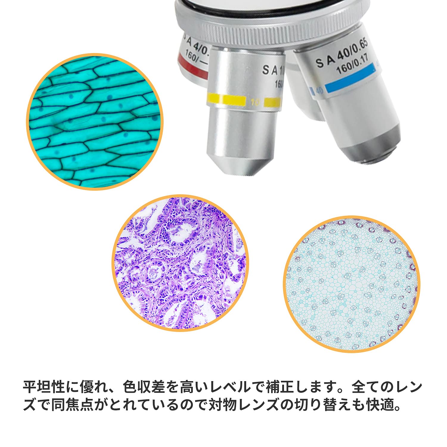 SWIFT 双眼 両眼タイプ生物顕微鏡 最大2500X拡大、ジーデント