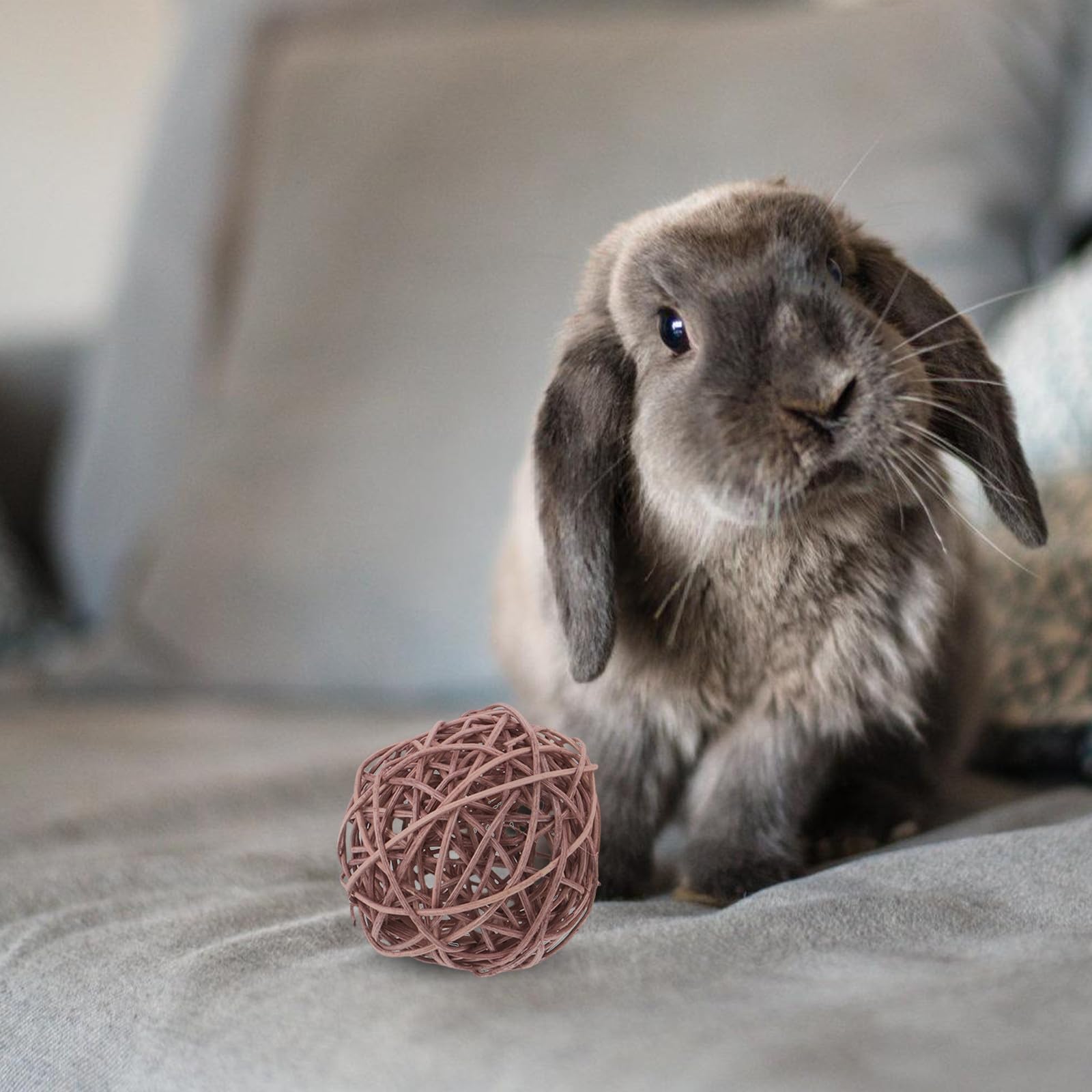 20stücke Naturgras-kauspielzeug Für Kleintiere Handgefertigte Rattan-weidenbälle Für Hamster Und Rennmäuse Robustes Beißspielzeug Für Kaninchen Und Haustiere Fördert