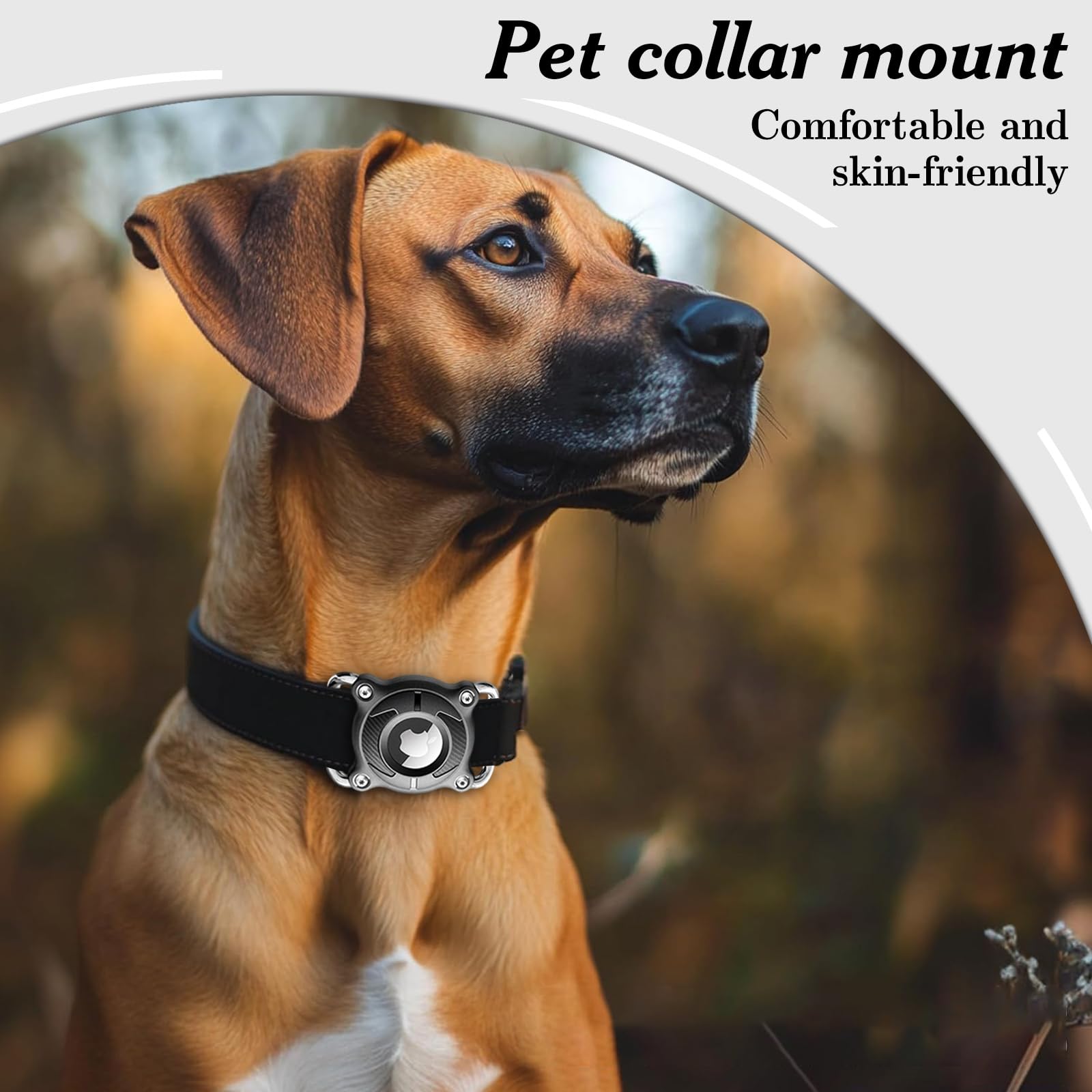 Impermeabile Collare Cane con Fibbia Metallica Staccabile Porta Cane 4 cm di Larghezza Collare GPS per Cani, Compatibile con Apple (Nero)