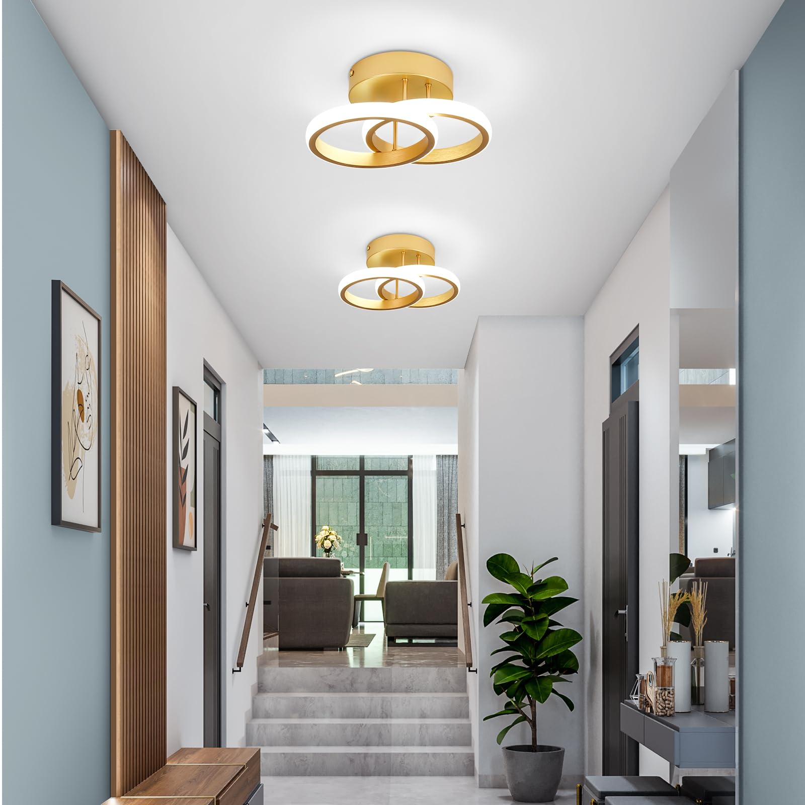 EIDISUNY LED Ceiling Light Modern Ceiling Lamp Silver Round Simple Ceiling Light Fixture LED for Corridor Kitchen Stairs Hallway Study Room Bedroom Living Room - Image 3
