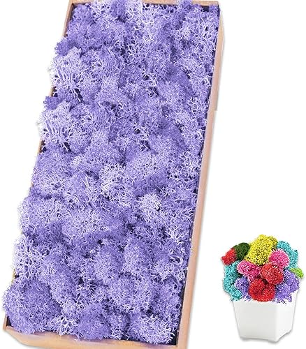 Miniatura 32 de Musgo de reno azul preservado de 7 onzas para plantas en maceta, decoración artesanal para arte de pared, musgo falso para decoración de bricolaje