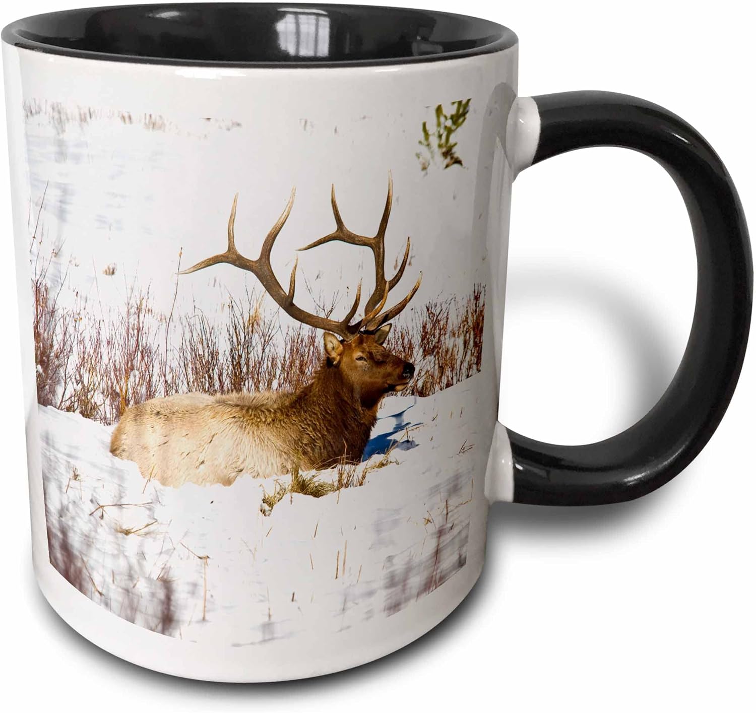 3dRose Usa Colorado Bull Elk Resting In Snow Two Tone Mug, 11 oz, Black,mug_191536_4