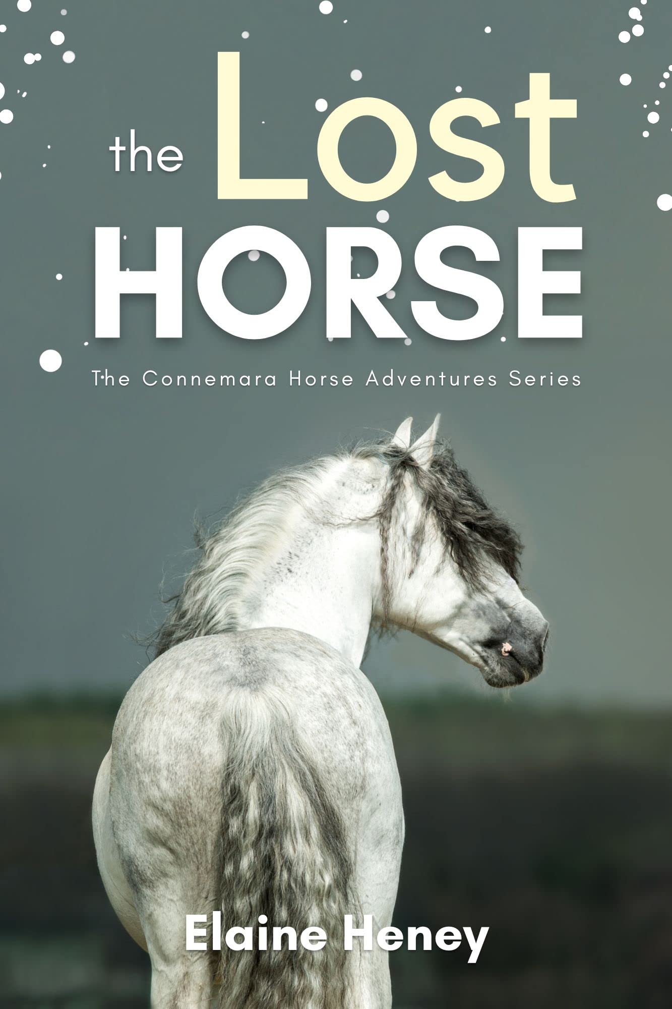 The Lost Horse - Book 6 in the Connemara Horse Adventure Series for Kids | The Perfect Gift for Children age 8-12 (Connemara Adventures)