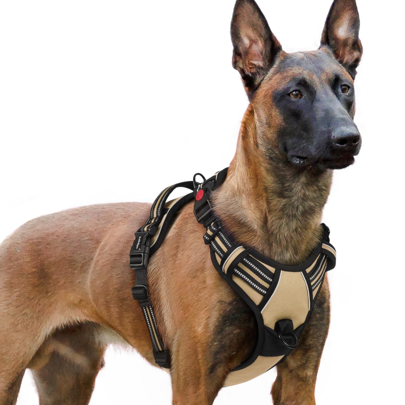 rabbitgoo Hundegeschirr Kleine Hunde, Verstellbare Geschirr Hund ohne Zug & Würgen, Anti Zug Hundegeschirr mit Griff, weich Gepolsterte Reflektierende Brustgeschirr