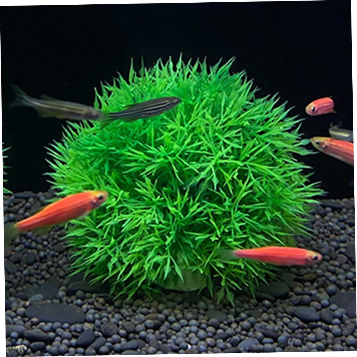 Ciieeo 8stücke Künstliche Wasserpflanzen Dekorationen Fake Aquatic Plants Für Aquarien Für Fischtanks Und Teiche Pflegeleicht Und Tierfreundlich
