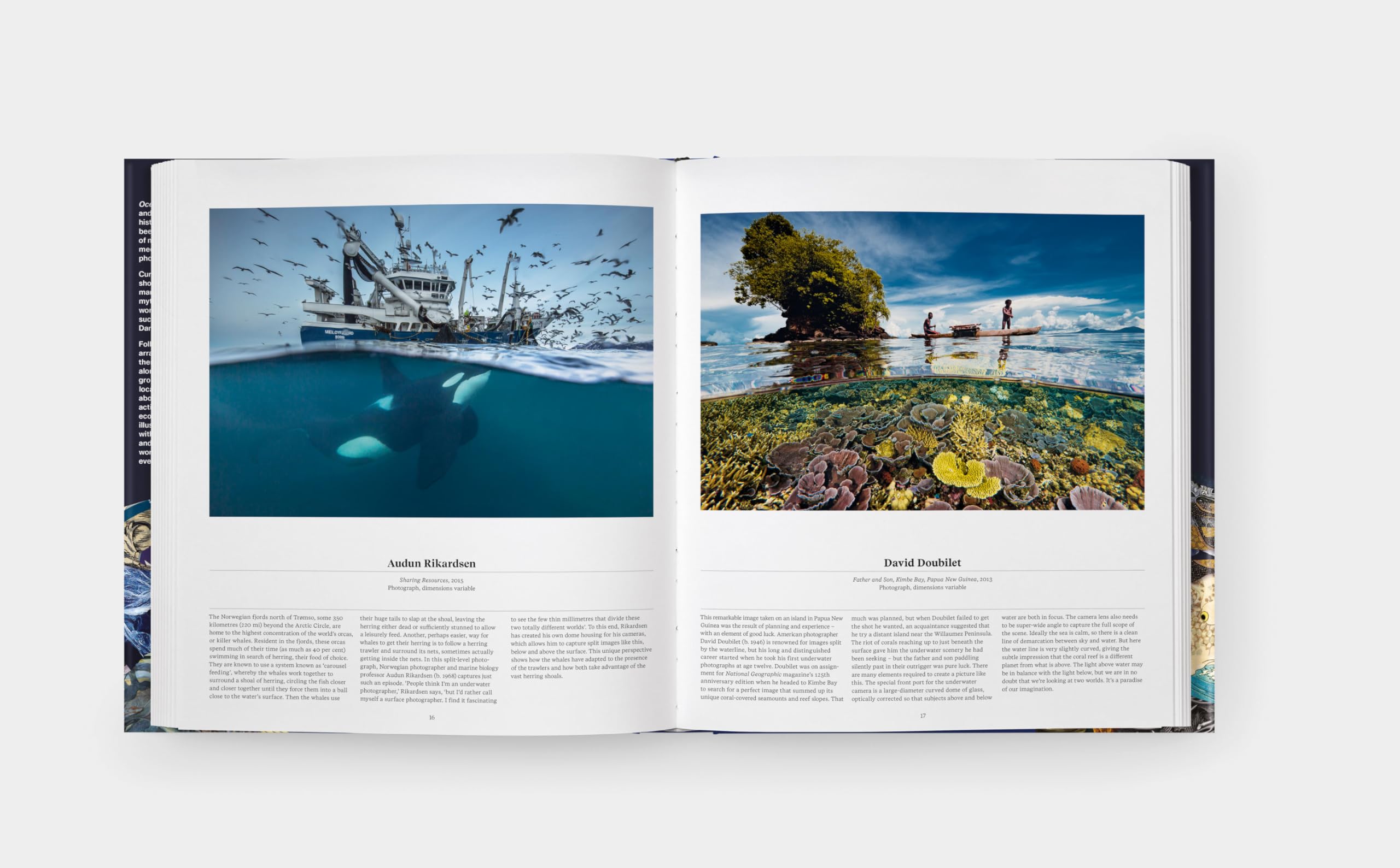 OZEANE - Die Welt der Meere: Ein Ausflug in die maritime Welt. Streifzug durch Illustrationen aus Wissenschaft und Kunst: Das faszinierende Ökosystem Meer in einem prachtvollen Bildband