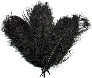 10 Plumes D'Autruche Naturelles Kikihong Pour Décoration - Lot De 10