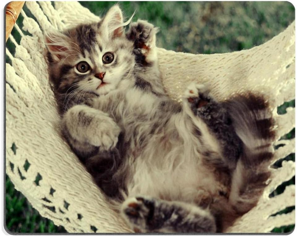 Dream Painter Neoprene Rubber Mouse Pad Cat 9.8 Inch (250mm) X 7.9 Inch (200mm) X 0.1 Inch (2mm) Customized Made Colorful Photo Picture Laptop Desktop Computer Gaming Support All Kind of Mouses Soft Good for Skin Comfortable