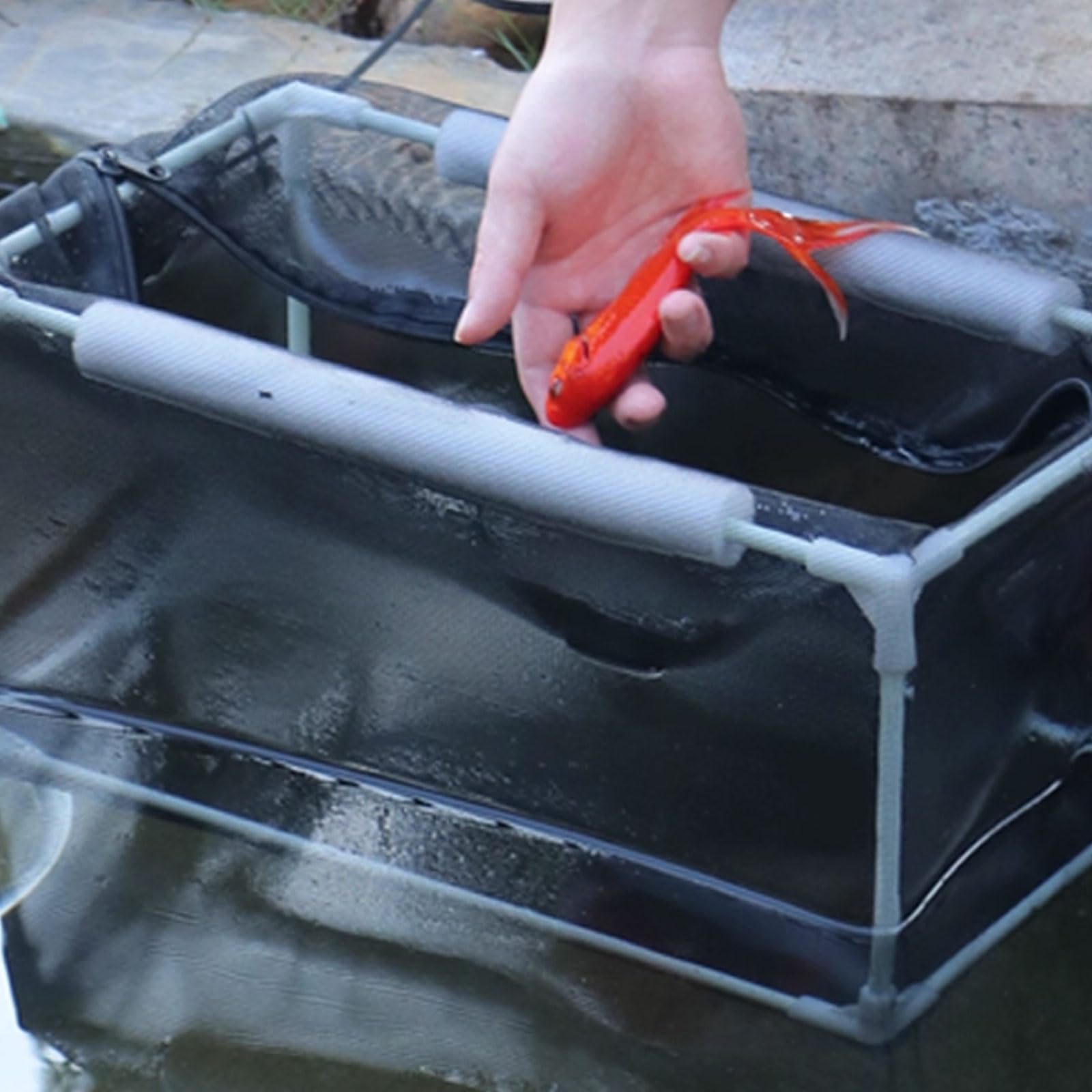 Tanques de Aislamiento de Acuario para cría y eclosión de Peces y camarones para aislar Huevos Enfermos o para incubar Contenedor de cría Flotante