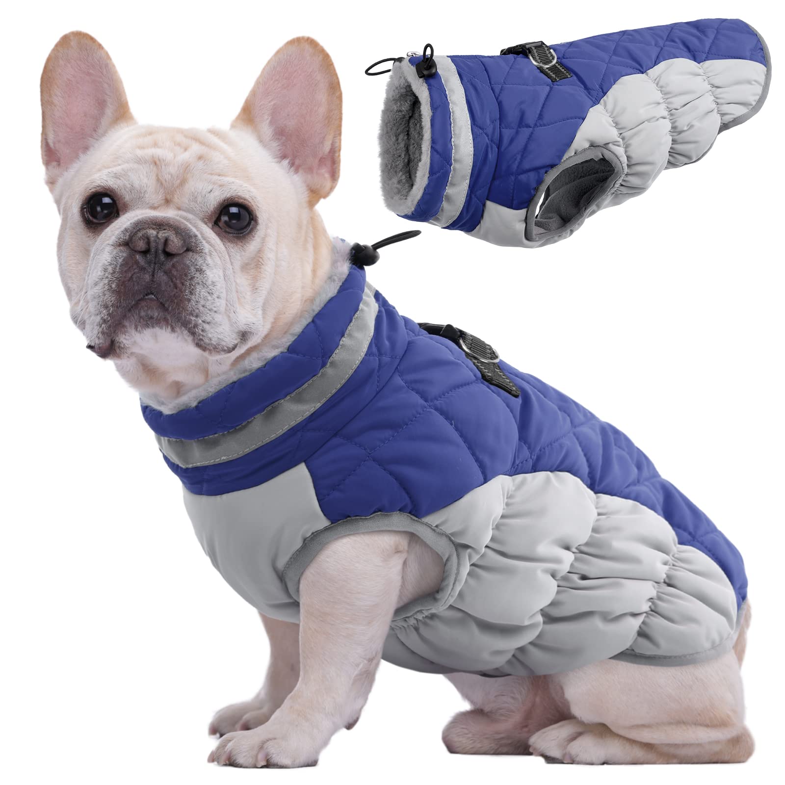 Kuoser Hundejacke Hundemantel für Kleine Hunde Winterweste, Wasserdicht Hunde Wintermantel Jacke Winter Hunde Mantel Mit Geschirr Warme Winterjacke Hundepullover Haustier Skifahren Kostüm Blau, XS