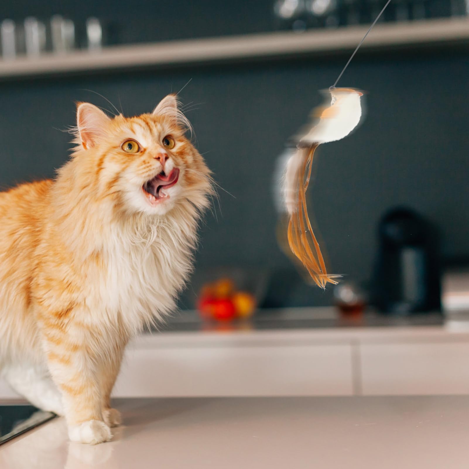 VANZACK 4sätze Interaktives Katzenspielzeug Ersatzfedern Für Katzenangel Leichte Und Tragbare Teaser Für Aktives Spielen Für Katzen Im Indoor-Bereich Fördert Gesundheit Und Bewegung