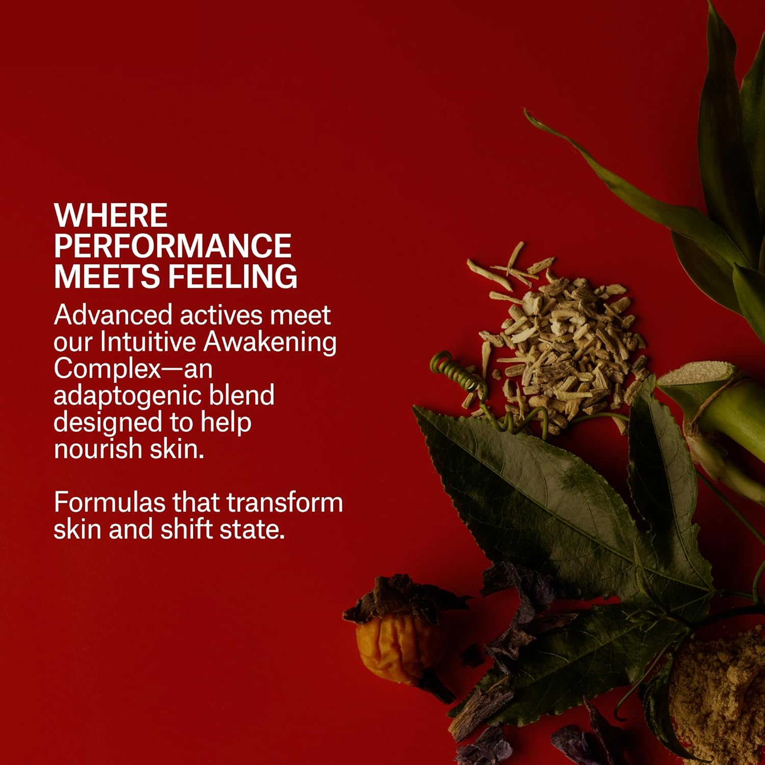 Mienne Serum | Silicone-Free, pH Balanced, Fragrance-Free | Never Sticky Vaginal Moisturizer | Aloe, Passion Flower to Hydrate + Soothe (1.7 fl oz | 50 ml)