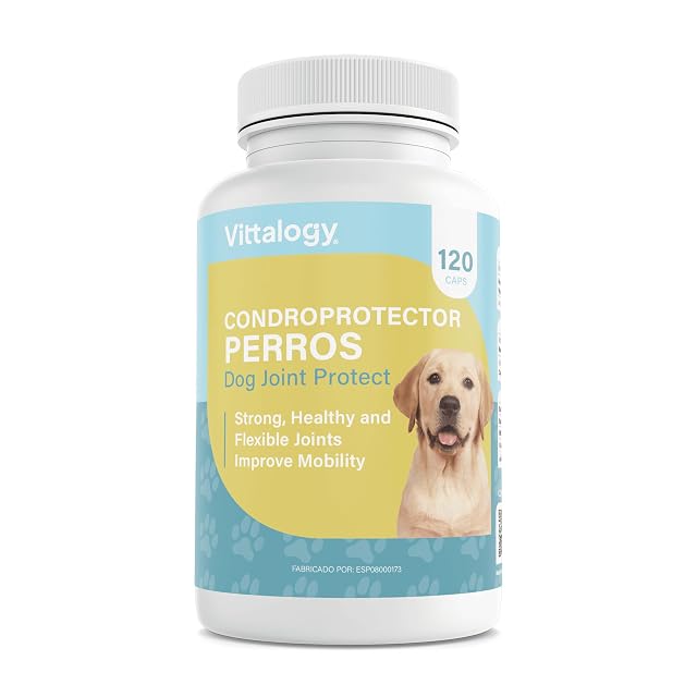 Condroprotector para Perros. Antiinflamatorio Natural con Colágeno, Condroitina, Hialurónico y Cúrcuma