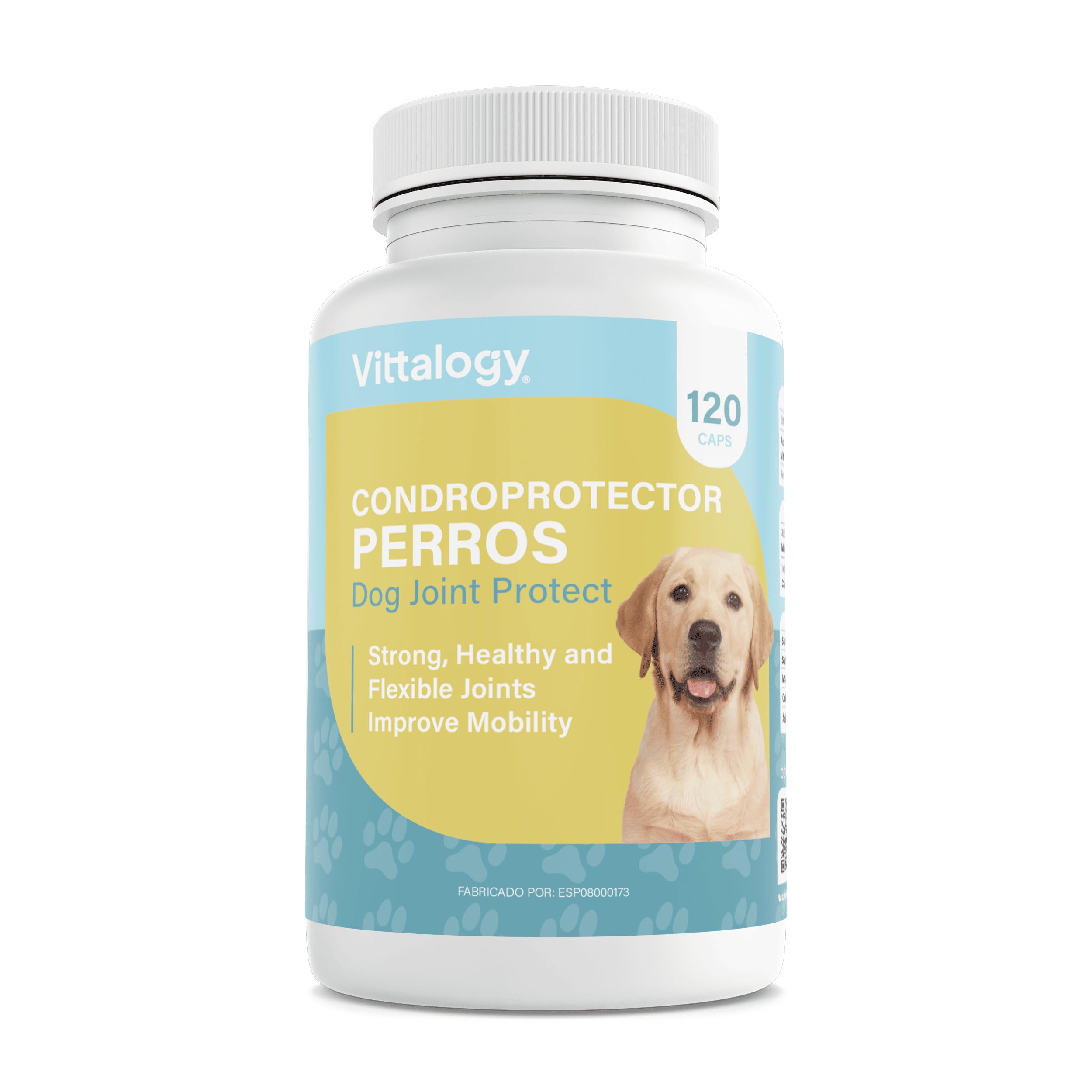 VITTALOGY Condroprotector para Perros. Antiinflamatorio Natural con Colágeno, Condroitina, Hialurónico y Cúrcuma. Complemento Alimenticio para Caderas, Articulaciones y Cartílagos. 120 Cápsulas