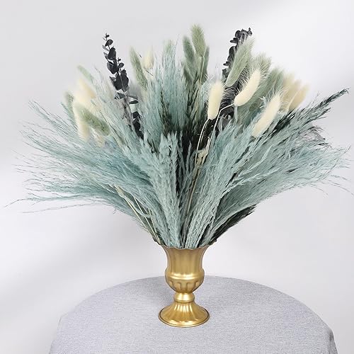 Miniatura 10 de N&T NETING - Decoración de hierba de pampa seca, hierba de pampa blanca, pampa marrón, cola de conejo, caña, flores de hierba de pompas secas