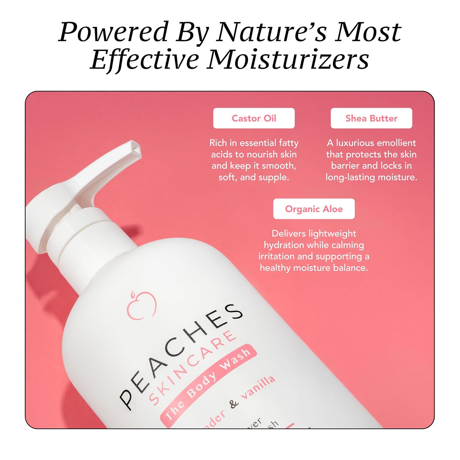 Peaches Skin Care Body Wash with Lavender and Vanilla - Gentle, Sulfate-Free Cleanser for Soft, Smooth-Looking Skin - Daily Body Wash for Men and Women, 16 oz