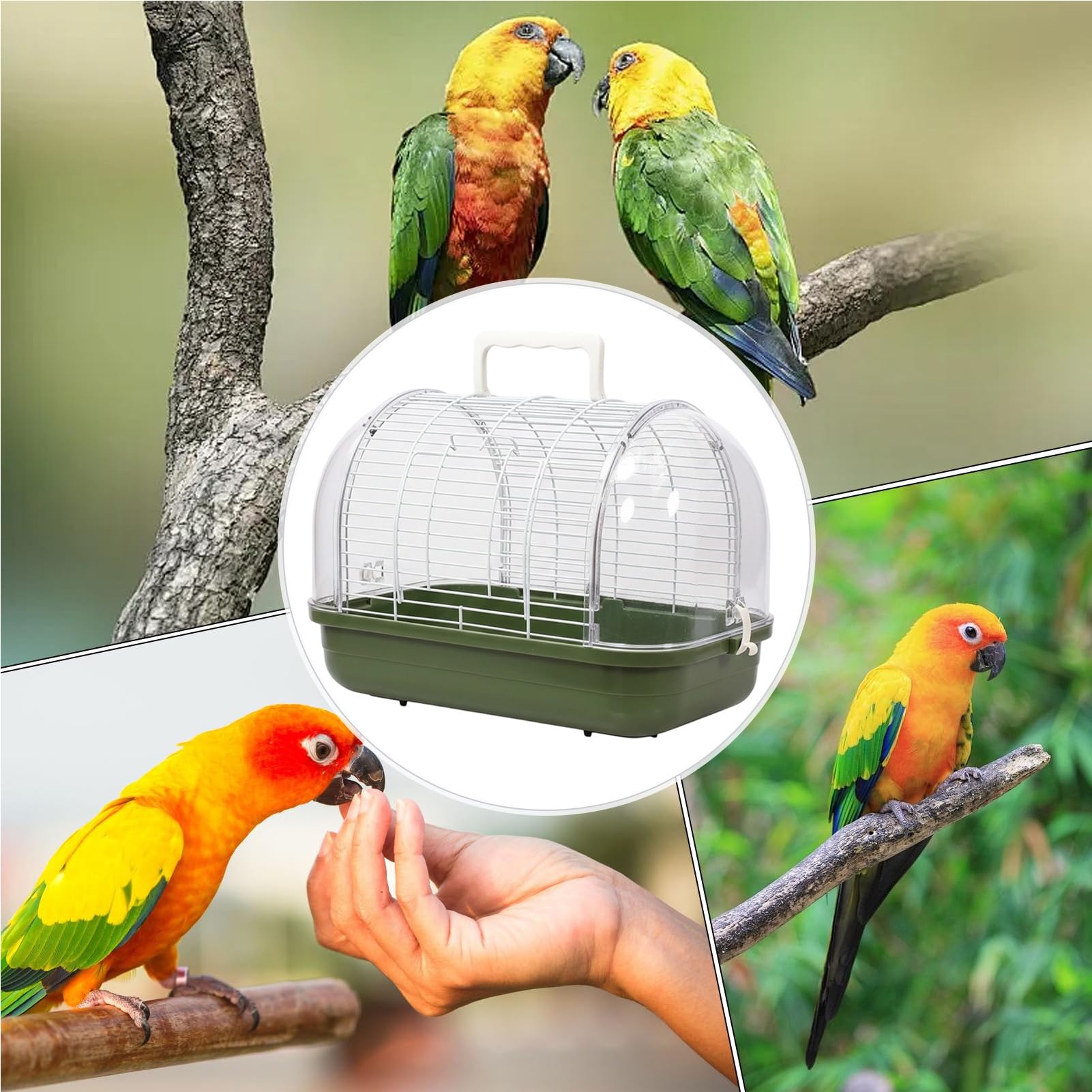 Gabbia per Portatile Trasportino Trasparente Antisolare Con Manico | Gabbia Calopsite A Vista Completa Adatta per Pappagallini Conure Calopsite Canarini Inseparabili Fringuelli per