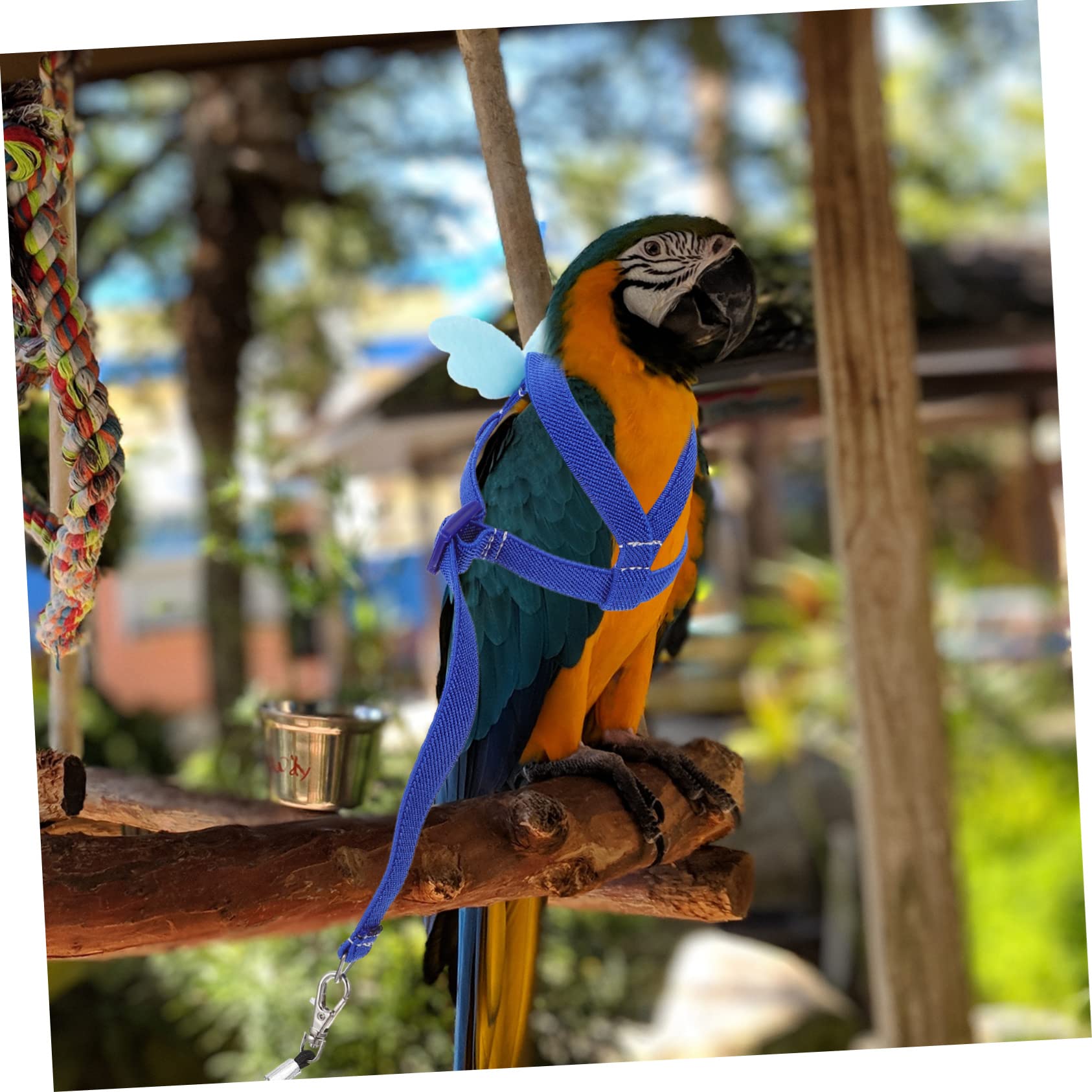 DOITOOL Juego De 5 Piezas Cuerda Voladora De Loro Arnés De Cuerda De Tracción Juguete De Conejo Correa De Conejillo De Indias Arnés De Adiestramiento De Pájaros Xuan Feng Mascota Paño