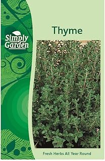 Thyme Fresh Herb Seeds Grow Your Own Garden