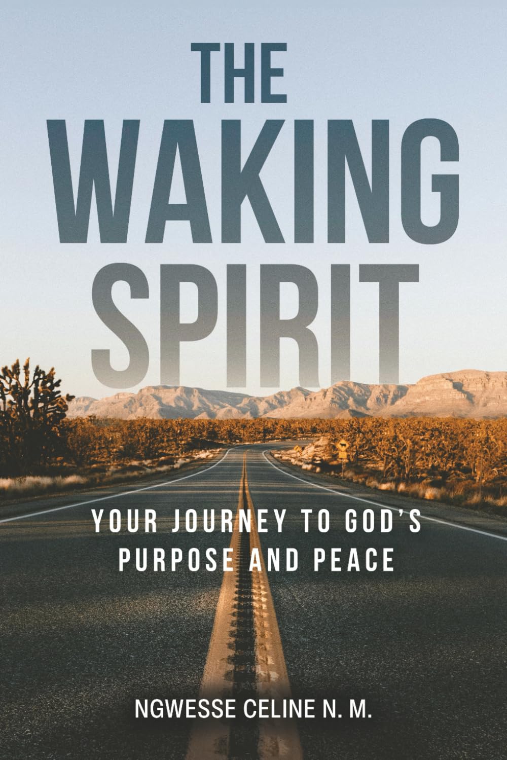 The Waking Spirit: Your Journey to God’s Purpose and Peace (The Waking Spirit Series)
