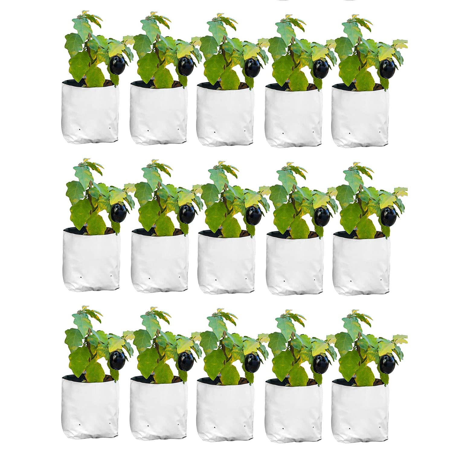 Anandi Green's White Color UV Protected Double Layer Poly Plastic Grow Bag for Home Garden Terrace Gardening Kitchen Gardening (Pack of 15 20x20x35 CM)-picture-41