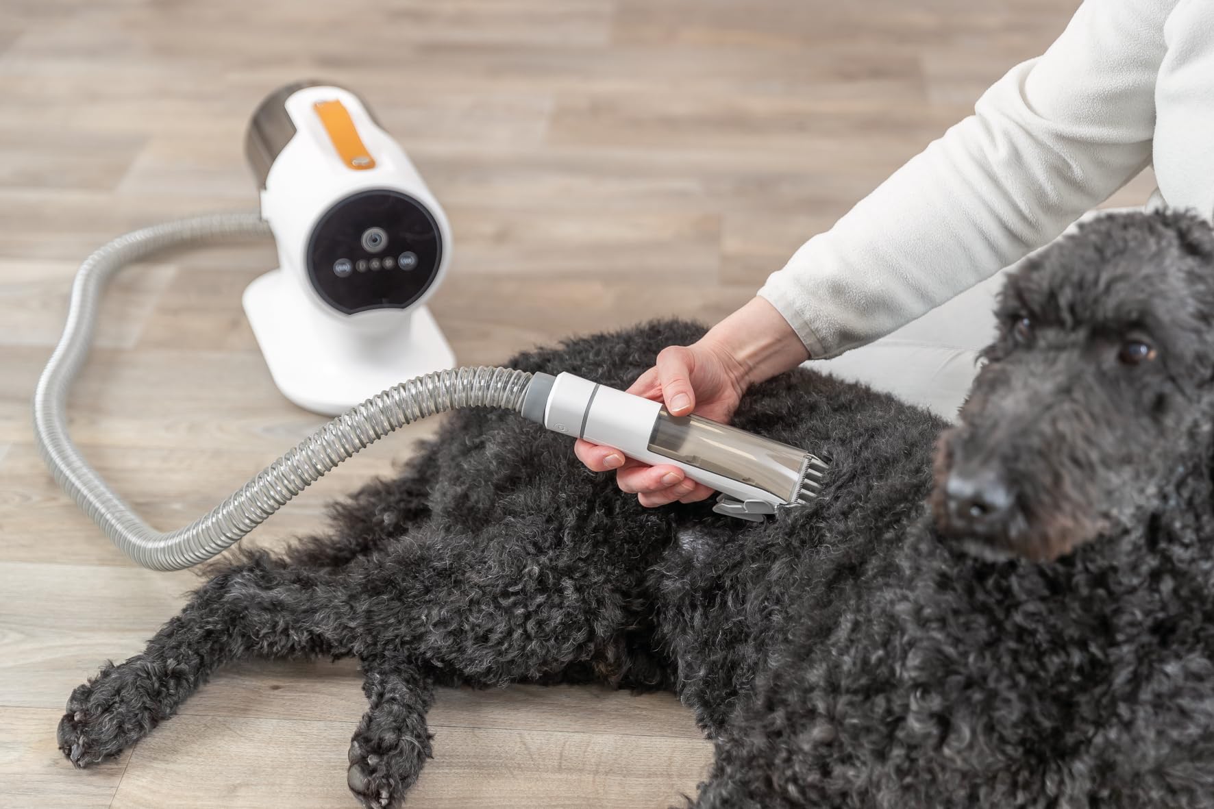 TRIXIE Clipper Set con aspirador de pelos, 2 l, para perros