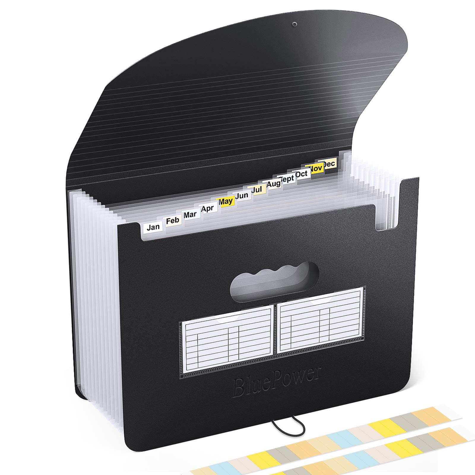 Buy BluePower Expanding File Folder 12 Pockets, Accordian File