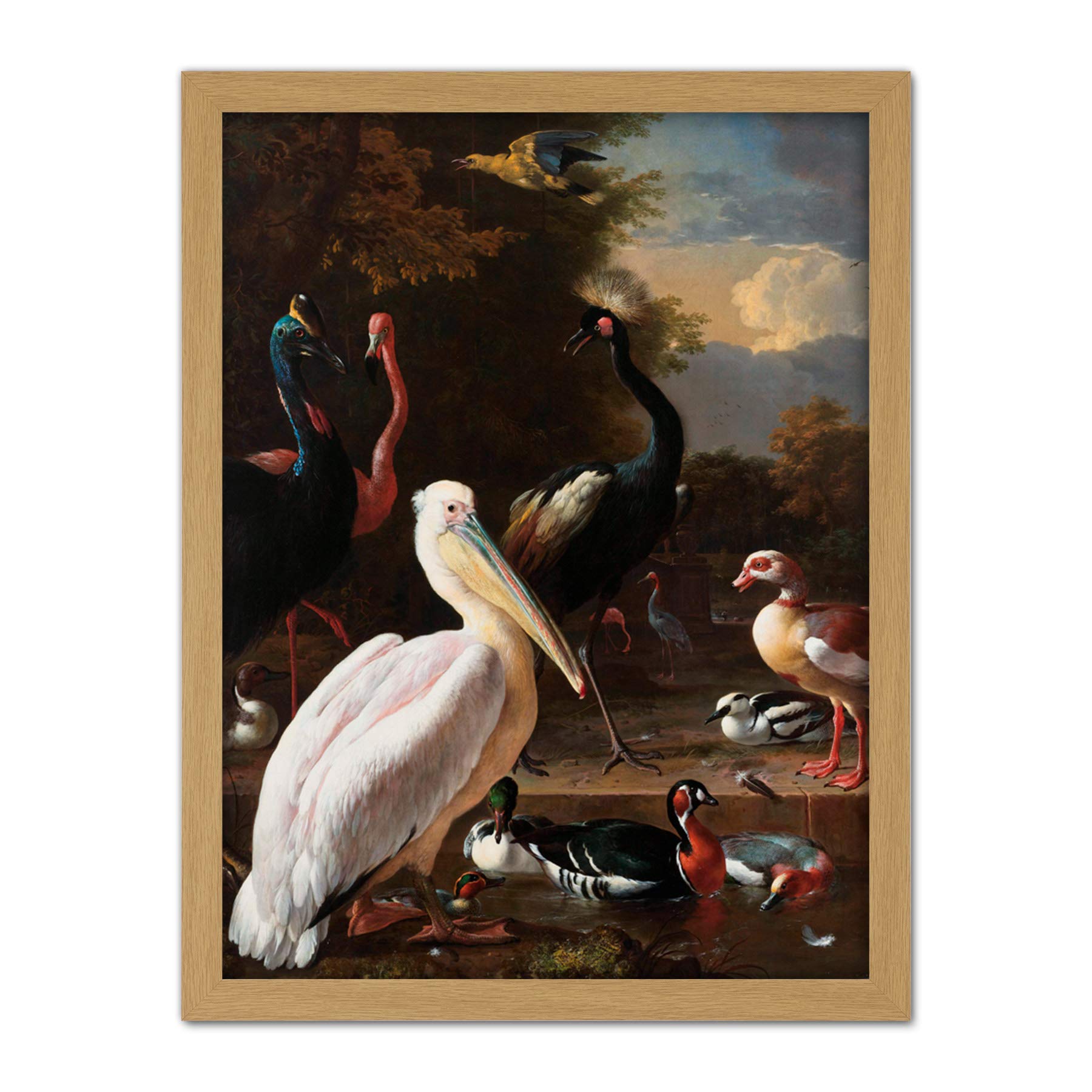 Artery8 Hondecoeter Pelican Birds Pool Floating Feather Artwork Framed Wall Art Print 18X24 Inch