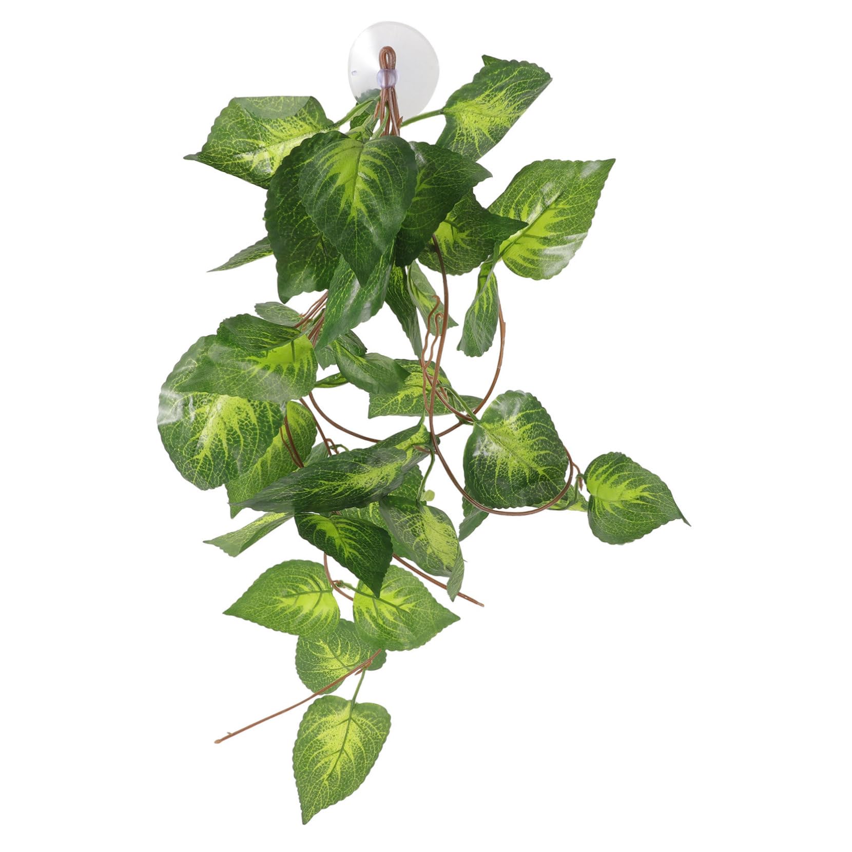 minkissy 3 Plantas De Reptiles Vibrantes Y Decorativas para Terrario Seguras para Animales.