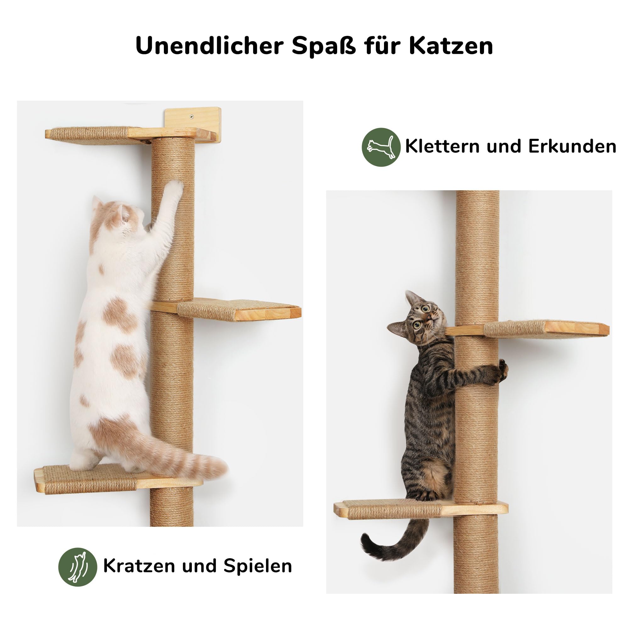 FUKUMARU Kratzbaum, 5 Etagen bis zur Decke reichender Katzenturm(206 cm), wandmontierter Katzenbaum,aus Natürliches Gummibaumholz, für Katzen zum Klettern, Kratzen, Ausschau halten und Spielen.