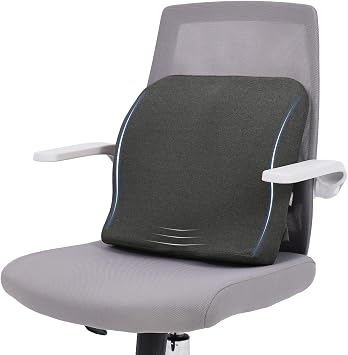 baibu Lumbar Support Pillow for Office Chair, Memory Foam Back Support Cushions Ergonomic Orthopedic Lumbar Pillow for Home, Office, Car, Dark Grey