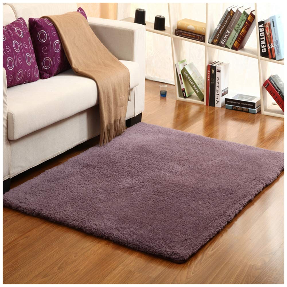 DaiHan Dywan Shaggy puszysty miękki dywan do salonu domu sypialni fioletowy 120 x 160 cm