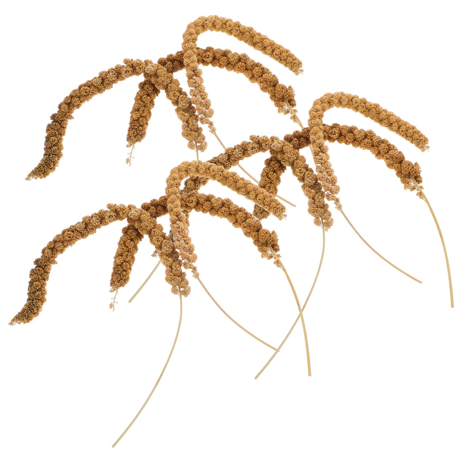 FONDOTIN 180g Natural Food for Parrots Long-Tailed Parakeet Treats Bird Eating Treats Healthy Bird Diet