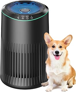 Air Purifiers for Bedroom Home, Air Purifier for Smoke Odors with Fragrance Sponge, Small Air Purifier with Sleep Mode for Bedroom Office, Blue Night Light, Black, 1 Pack+3 Modes