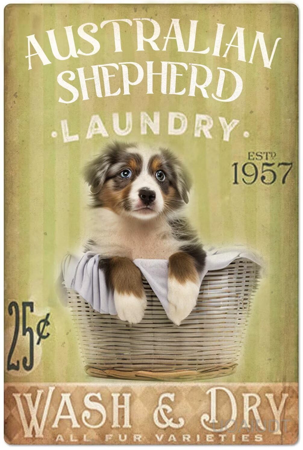 Anceky Laundry Room Diamond Painting Kits for Adults,Australian Shepherd Laundry Round Full Drill Diamond Art Kits, Wash Dry Dog 5d Diamonds Art Crafts for Home Wall Decoration s 12X16 Inch