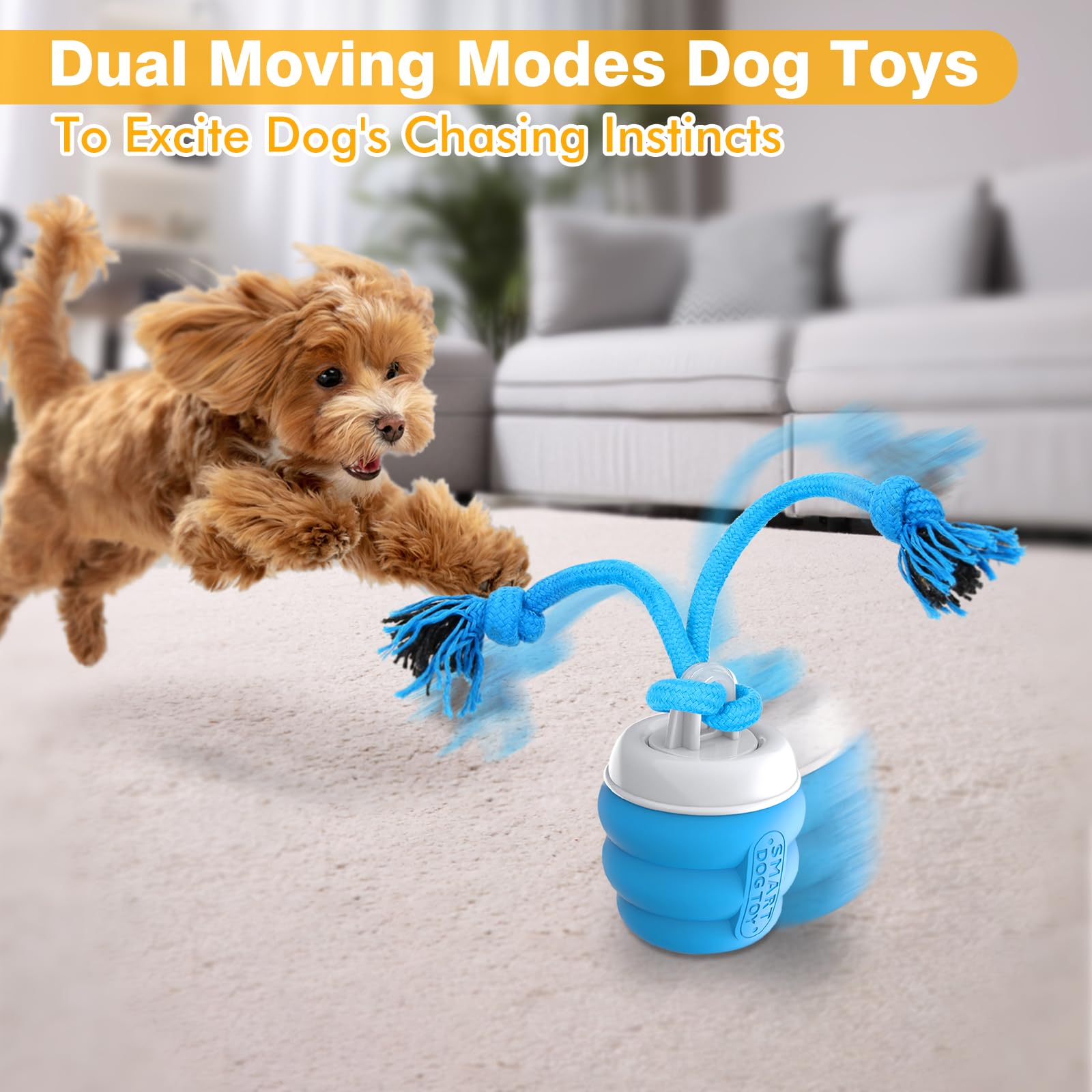 Juguete Interactivo para Perros – Bola Automática Inteligente para Perros Pequeños, Mantiene a los Perros Estimulados Mentalmente y Entretenidos, Modo de Juego Autónomo (Azul)