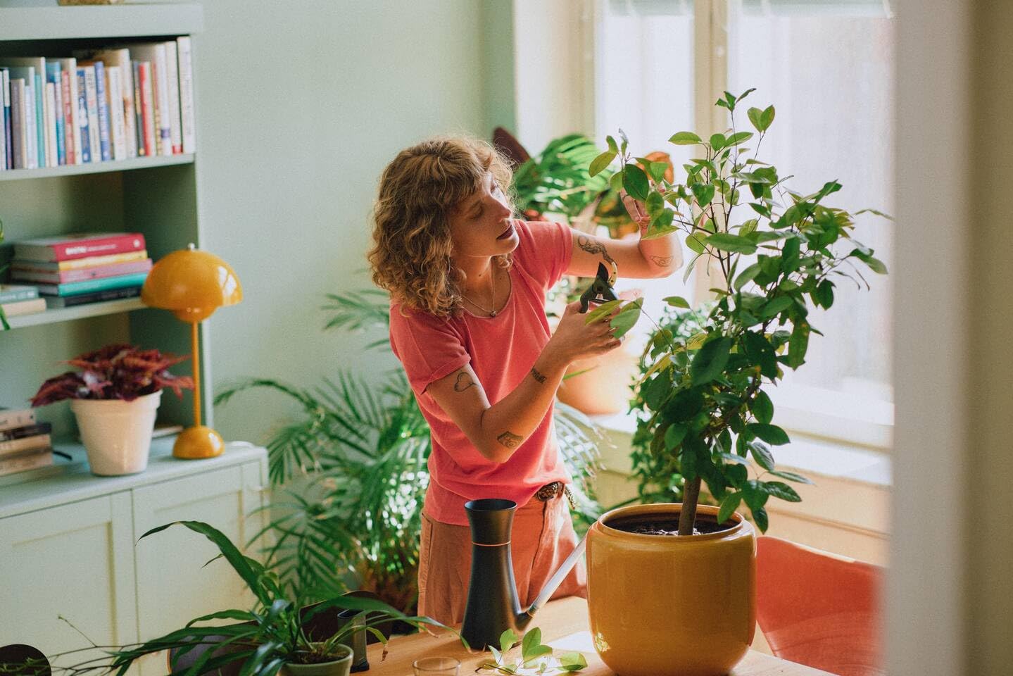 Image secondaire de Sécateur Fiskars Urban Plant Care avec Étui pour Plantes d'Intérieur