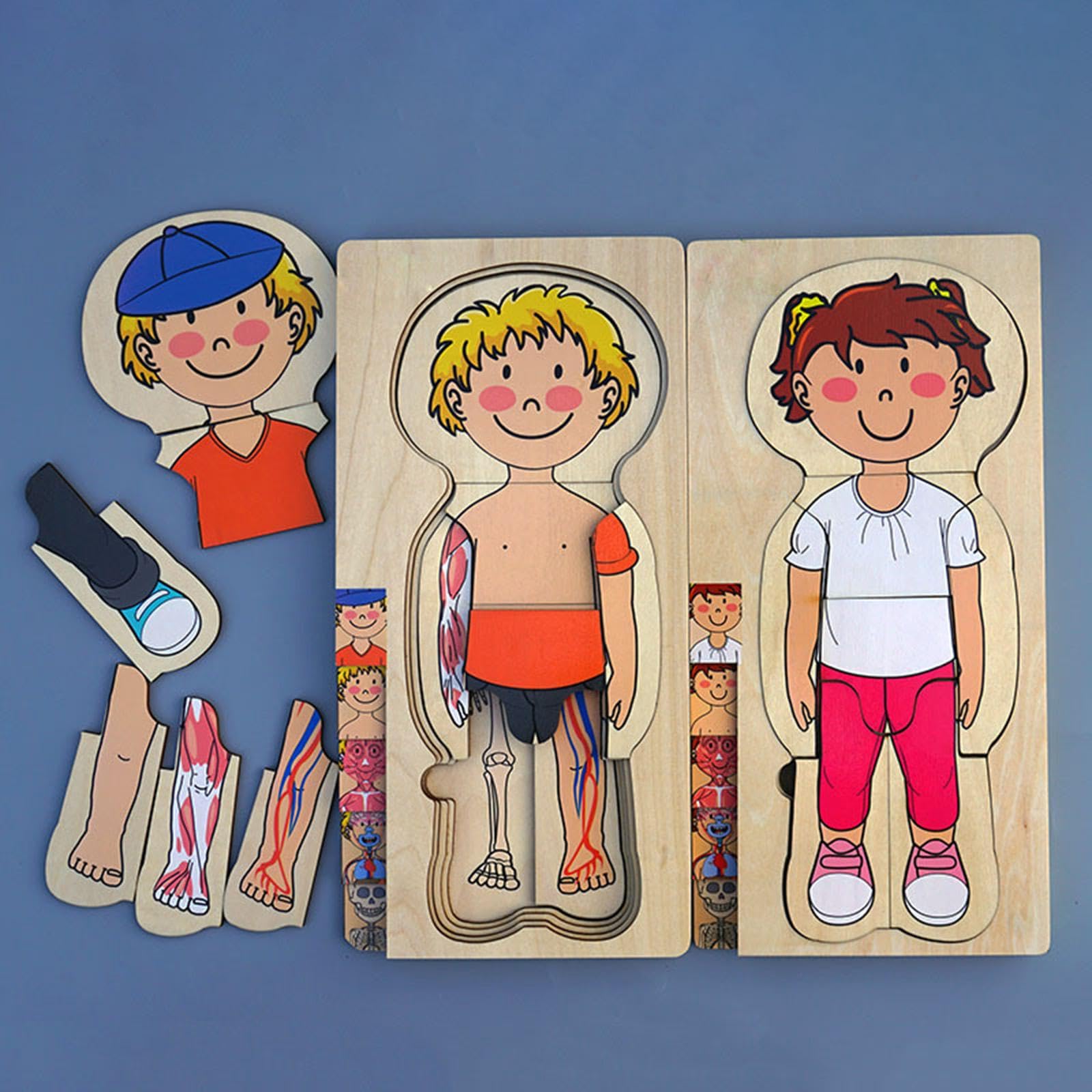 Puzzle in Legno del Corpo Umano, Puzzle, Puzzle di Pezzi del Corpo Umano per Bambini, Ragazzo