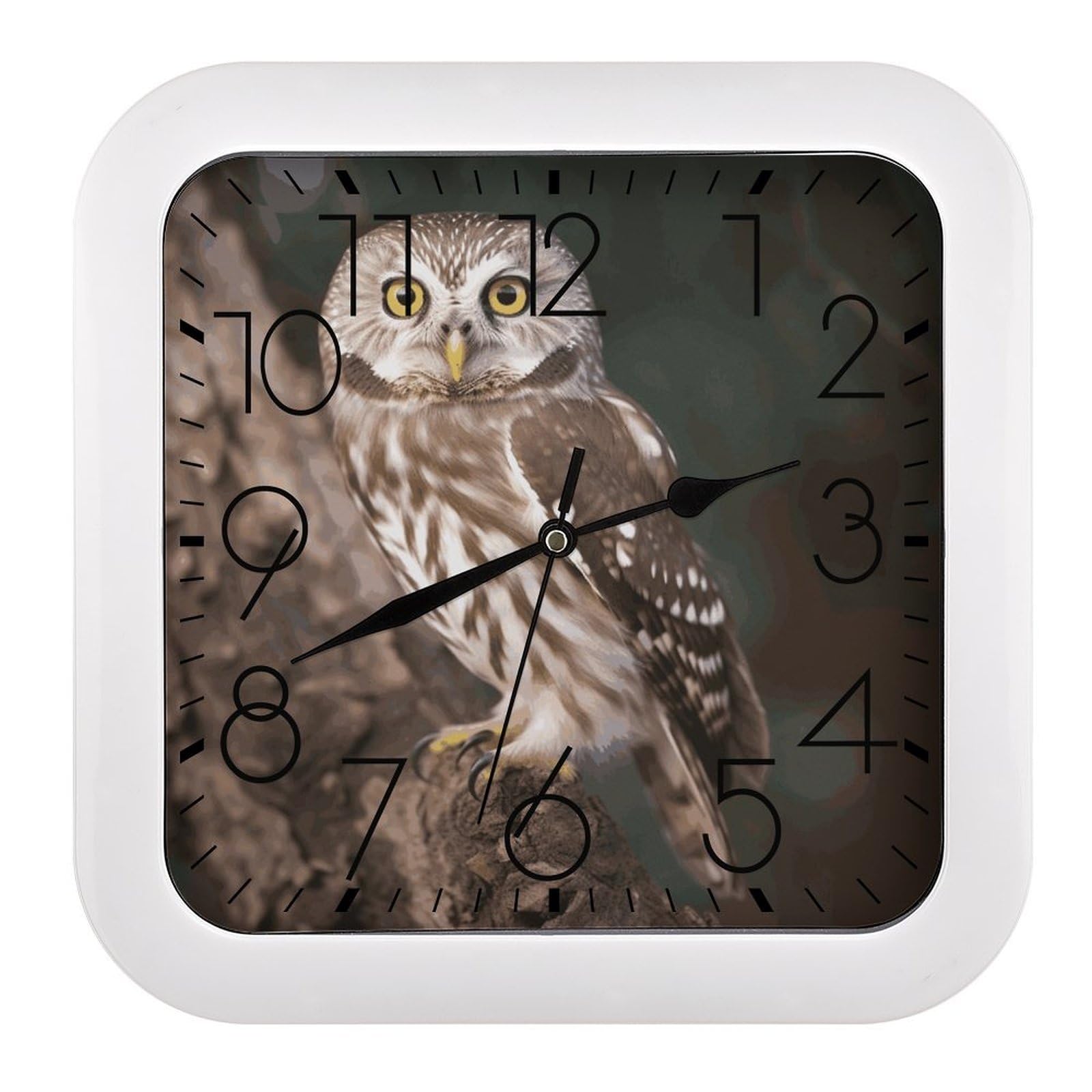 MUSM 10.2 X 10.2 Inch Modern Wildlife Animal Owl Wall Clock Battery Operated High Accuracy Decorative Square Clocks for Kitchen Bedroom Living Room Home Office Porch