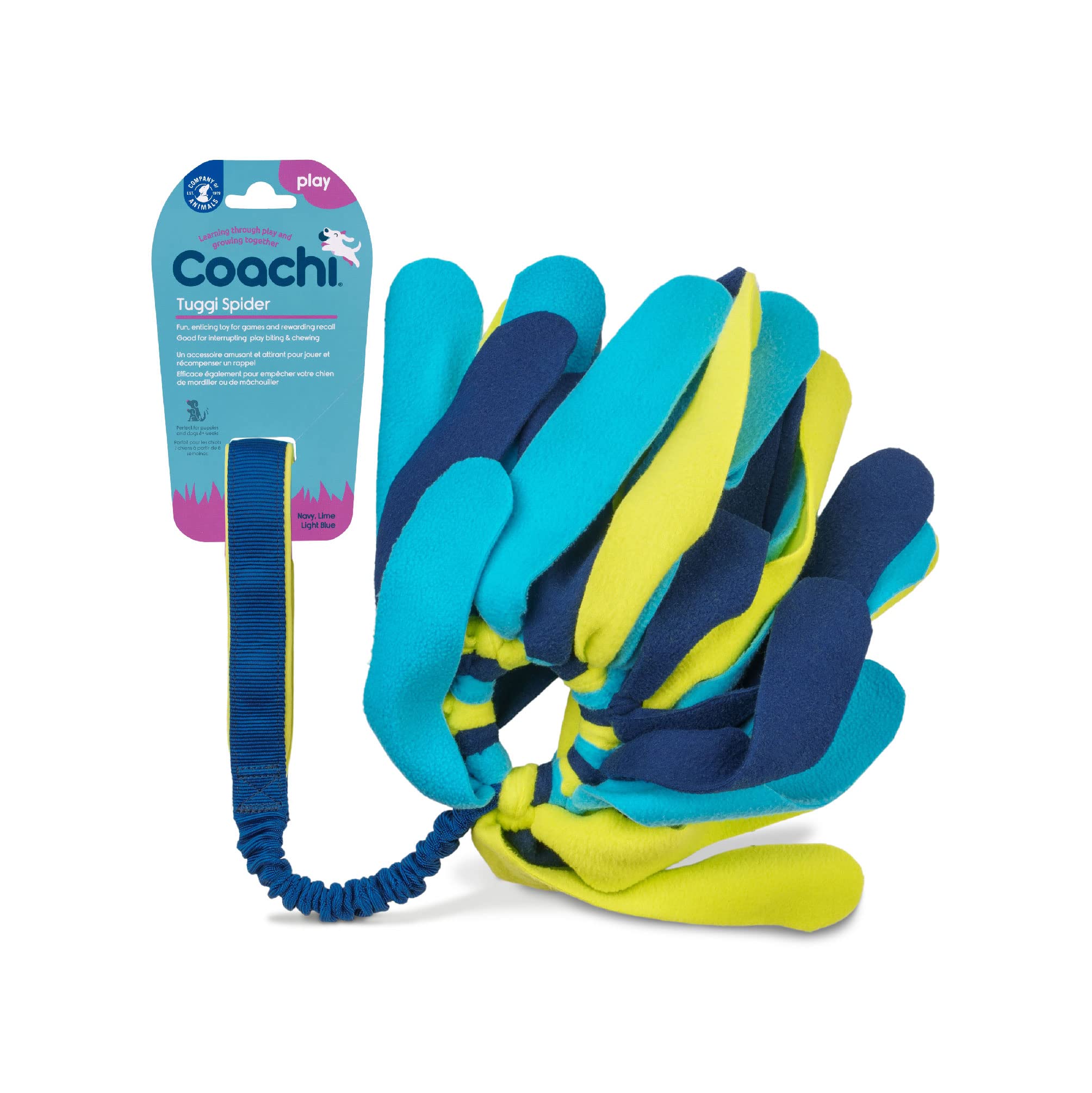 Coachi Tuggi Spider, pour Tirer, Solide et Confortable, poignée élastique, pour Chiens et Chiots, Dressage avec récompense, Rappel, Stop aux morsures et mâchonnements. Parfait pour l'agilité.
