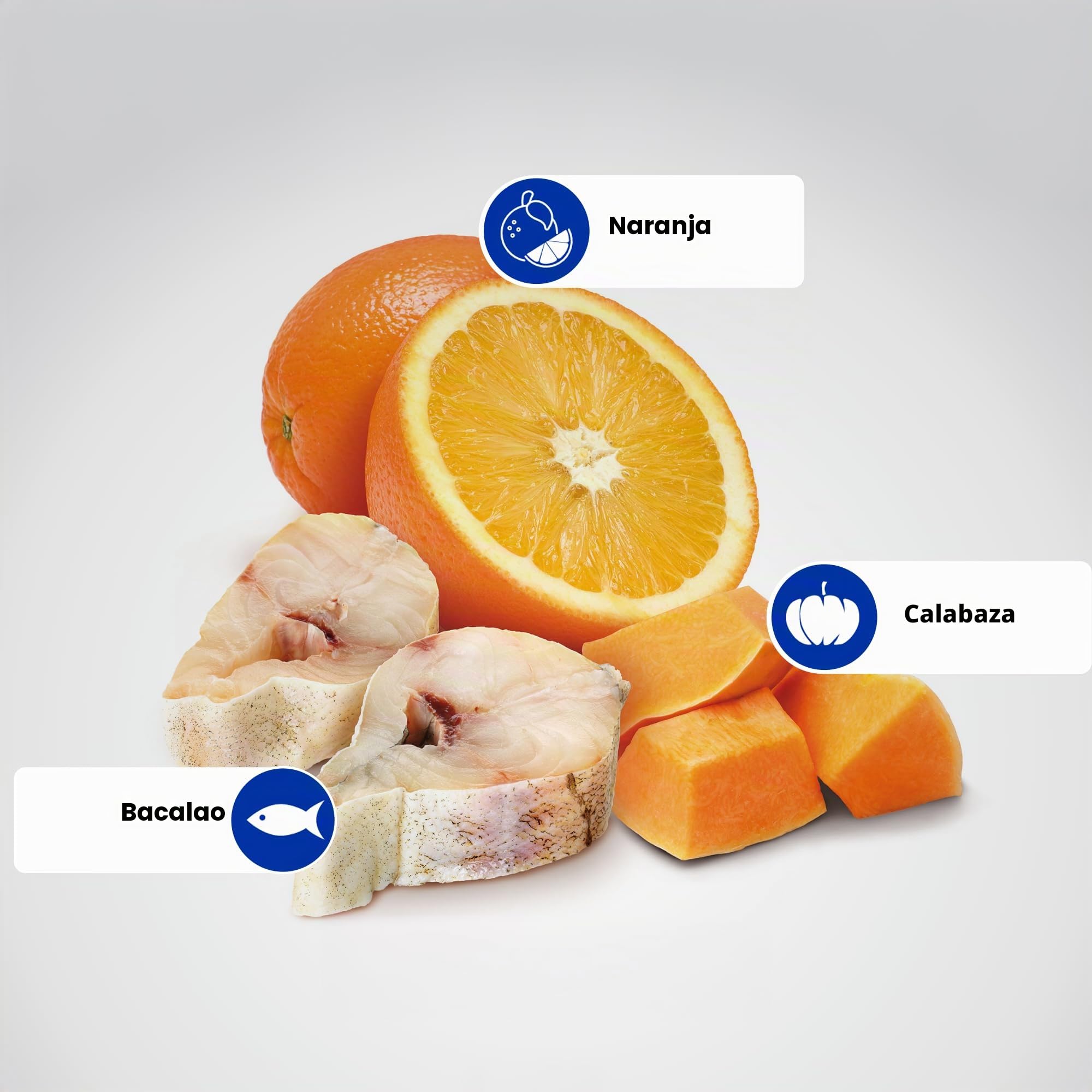FARMINA ND Dog Ocean Pumpkin Medium Maxi Bacalao 12KG