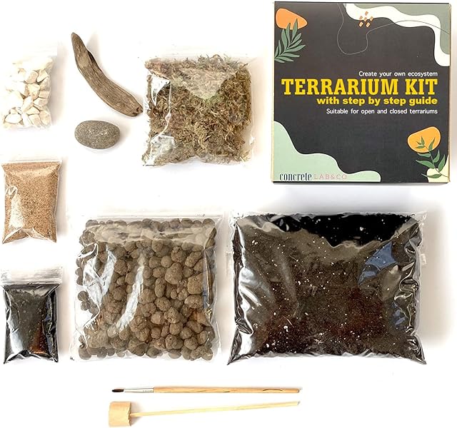Terrarium DIY Kit for Succulents and Cacti Plants with Step by Step Guide Includes Soil Charcoal Pebbles Sphagnum Moss Sand Driftwood & Brush (Small)