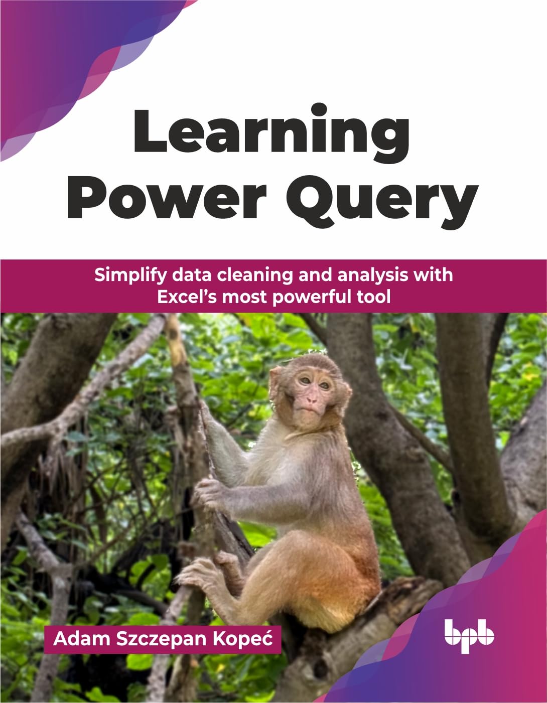 Learning Power Query: Simplify Data Clea
