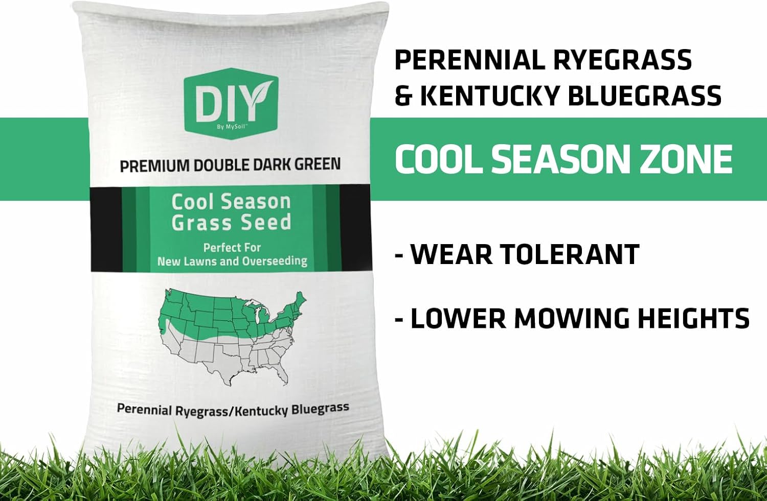 DIY Premium Double Dark Green Cool Season Grass Seed (KBG & PRG Blend) (12 LB)